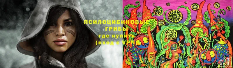 KRAKEN как зайти  Мыски  Галлюциногенные грибы Cubensis 